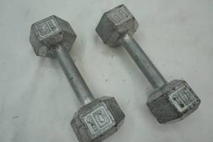 lot 215 image: Pair of 10lb Weights