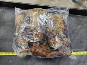 lot 199 image: Lot of (1) Steel Dog Realistic Roper Beaver Dog Toys 6-pack