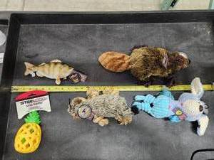 lot 158 image: Lot of (5) Steel Dog Assorted Dog Toys - Sunfish, Beaver, Sloth, Puppy, Pineapple Slow Treater