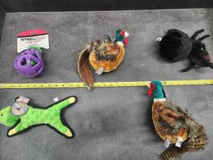lot 58 image: Lot of (5) Steel Dog Assorted Dog Toys - Pheasant, Quail, Gator, Spider, Eggplant Slow-Treater