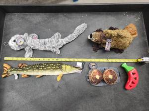 lot 68 image: Lot of (5) Steel Dog Assorted Dog Toys - Northern, Tiger, Beaver, Pancakes, Chili Pepper Slow Treater