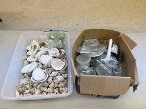 lot 290 image: Sea Shells & Glassware