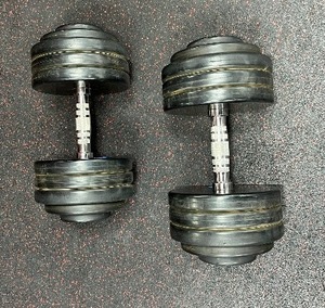 lot 21 image: (2) GPI Dumbbells 75 LBS