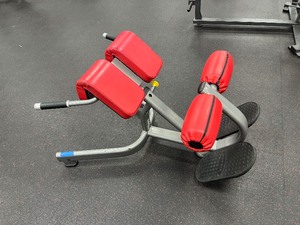 lot 43 image: Back Extension Bench