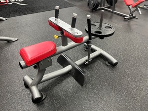lot 46 image: Seated Calf Machine NOTE Weight plates not included.