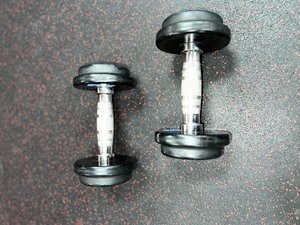lot 58A image: (2) GPI Dumbbells 10 LBS