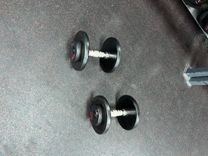 lot 57A image: (2) GPI Dumbbells 20 LBS