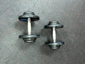 lot 55 image: (2) GPI Dumbbells 30 LBS