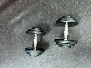 lot 54 image: (2) GPI Dumbbells 35 LBS