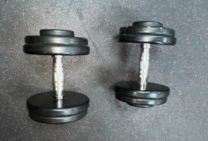 lot 53 image: (2) GPI Dumbbells 40 LBS