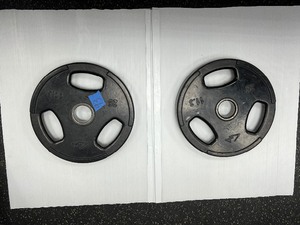 lot 93 image: (2) GPI Weight Plates 25 LBS