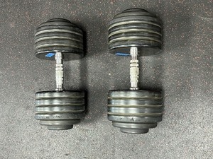 lot 25A image: (2) GPI Dumbbells 95 LBS