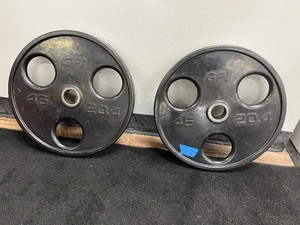 lot 89A image: (2) GPI Weight Plates 45 LBS with 3 round holes