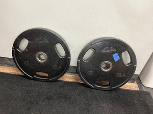 lot 107 image: (2) GP Weight Plates with 3 oval holes 45 LBS