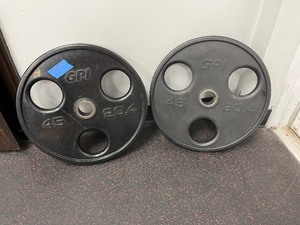 lot 71 image: (2) 45 LB Weight Plates