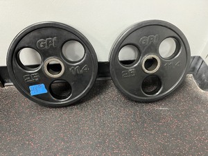 lot 48 image: (2) 25 LB Weight Plates