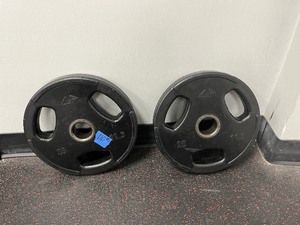 lot 110 image: (2) GP Weight Plates with 3 oval holes 25 LBS