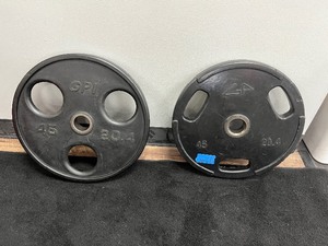 lot 47 image: (2) 45 LB Weight Plates