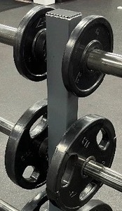 lot 65B image: Two 25lb plates and Two 5lb plates.  Tree not included
