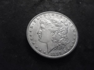 1889 Morgan Silver Dollar