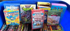 Grand Grouping of Childrens Books