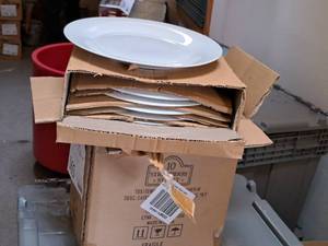 lot 165 image: Lot of (1 Box) 10 Strawberry Street 10-12 Dinner Plates 12-count ( 12 total items )