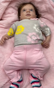 lot 24 image: Soft Body and Vinyl Reborn Doll Very Detailed 3 lb