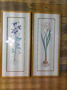 lot 39 image: Set of 2 Charlotte Ann Meckley Floral Prints