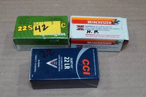 lot 123 image: 114 Rounds Assorted .22 LR Ammo