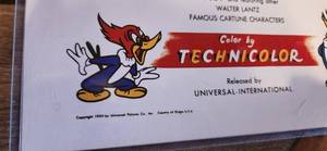 lot 77 image: WOODY WOODPECKER Collector Poster Laminated #607259