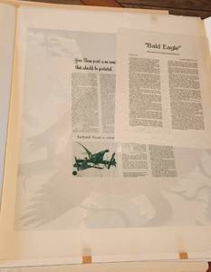 lot 72 image: Bald Eagle Signed by Artist Richard Sloan 22 x 28