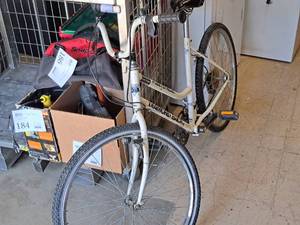 lot 239 image: Diamond Back FleetStreak 22 Womens Trail Bicycle 19 White Frame