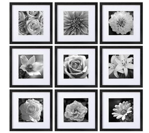 lot 324 image: Eletecpro 12x12 Picture Frames Set of 9 Classic Gallery Wall Frame Set Displays 8x8 Photo with Mat or 12x12 without Mat