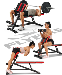 lot 66 image: FLYBIRD 3 in 1 Workout Bench, Roman Chair, Weight Bench and Sit Up Bench for Hyper Back Extension and Full Body Workout with Handle