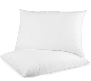 lot 304 image: LOT OF 2 Digital Decor Pillows. 20x26