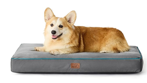 lot 438 image: Bedsure Waterproof Dog Bed.35x22x4