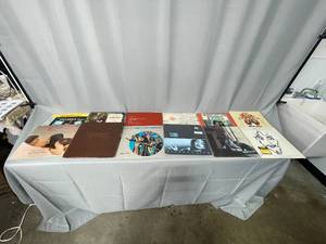 Lot of Vinyl Records Including  The Carpenters  The Fifth Dimension  Sade  Carol King  And More