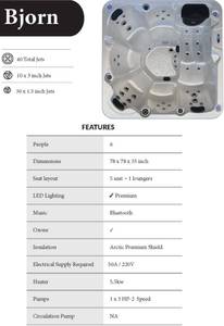 Brand New Bjorn Hot Tub No Reserve MSRP $18,995