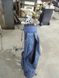 Golf Bag and Caddy