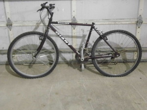 Giant Bike