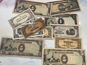 Foreign Currency