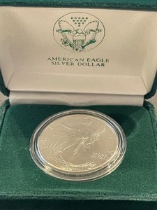 1989 Silver Eagle