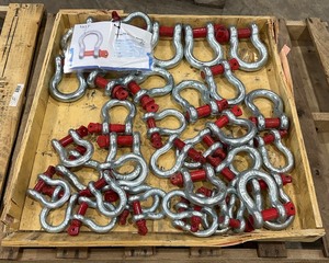 lot 165 image: Assorted Screw Pin Anchor Shackles