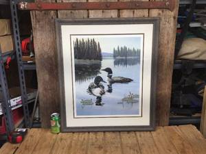 lot 141 image: Derk Hanson Wildlife Loon Framed Print