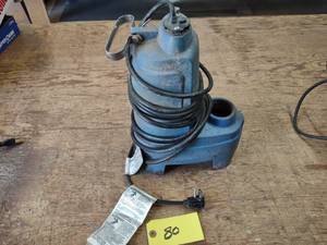 lot 80 image: Gould 2 Trash Pump, 12 hp....