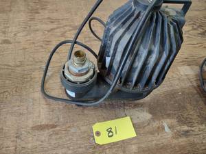 lot 81 image: Blue Angel 2 Trash Pump, 14 hp....