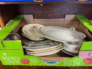 Forsynthia dishes, Lehr, ND plate