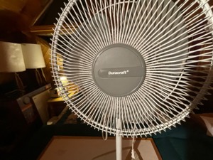 lot 39 image: free standing fan