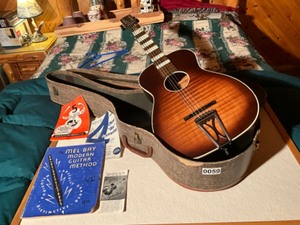 lot 59 image: beautful guitar wcase