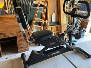 lot 386 image: dual motion nordic rider workout machine